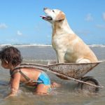 Witziges Foto Urlaub Kind Hund Meer Freizeit Familie, Freizeit, Lustige Predigt, Strand, Urlaub