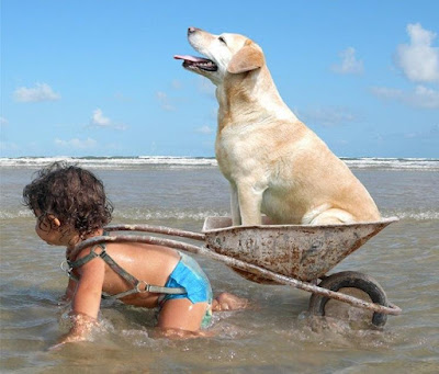 Witziges Foto Urlaub Kind Hund Meer Freizeit mit Freude: Entspannung, pur Familie, Freizeit, Lustige Predigt, Strand, Urlaub