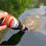 Angeln mit Amstel Bier Niederlandisches Bier Fisch Wissenswertes zum lachen Angeln, Freizeit, Hobby, Lustige Bilder, Natur