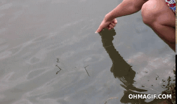 Angeln ohne Angel lustige gifs - einfach Finger ins Wasser stecken Angeln ohne Angel - einfach Finger ins Wasser stecken