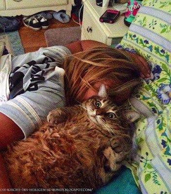 Auf Bett entspannen mit Katze - Schlaf Bilder