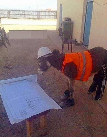 Bauarbeiter auf Baustelle lustig - lachbilder Bauarbeiter auf Baustelle
