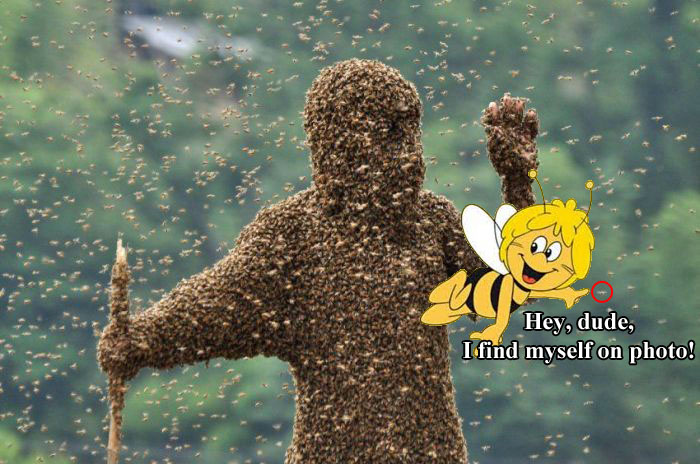 Biene Maja erkennt sich auf Foto - Mann voller Bienen