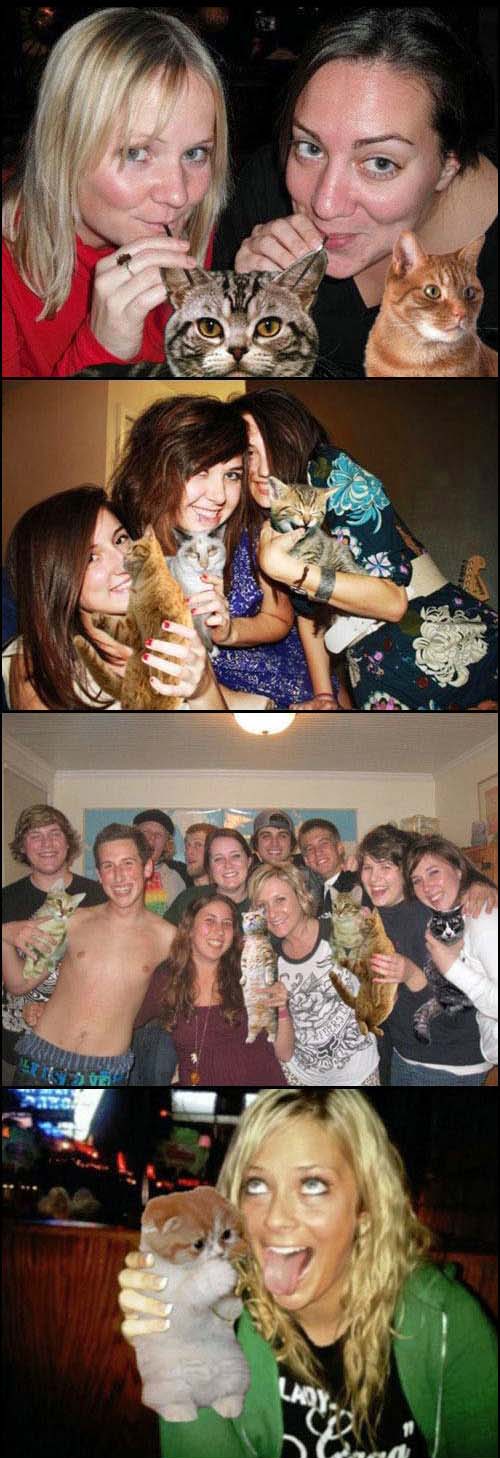 Statt Alkohol auf der Party, einfach mit Katzen schmusen