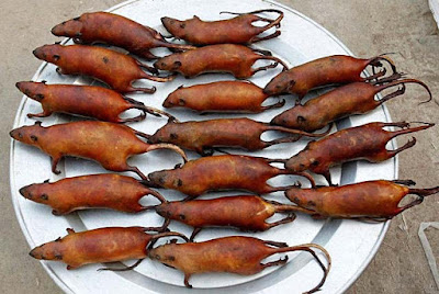 Bilder zum kotzen - Geröstete Ratten auf Teller