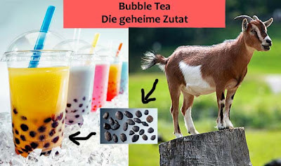 Bubble Tea Lustig Spassbilder Wissenswertes zum lachen Enthüllung, Lustige Produkte