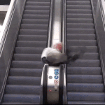 Chaos auf der Rolltreppe komisches zum lachen 2 Arbeit Arbeit