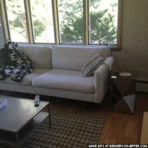 Couch das Bermuda Dreieck der verlorenen Fernbedienung Spassbilder Lustige Bilder zum lachen Internet, Lustiges, Lustiges über das Leben