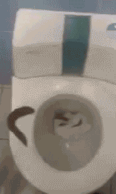 Eckelhaft selbreinigende Toilette Humor Heitere Haushaltsmomente mit einem Augenzwinkern Genervt, Haushalt, Lustige Predigt, Zuhause