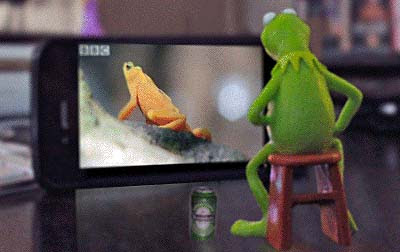 Frosch vor Fernsehen mit Bier