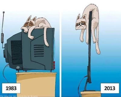 Fernseher damals und heute Katze