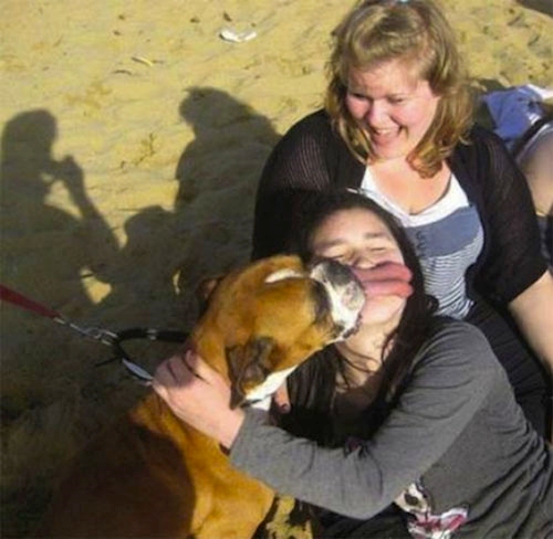 Freundin wird von Hund das Gesicht abgeleckt