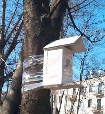 Frühling - Vogelhaus wird dumm an Baum geklebt