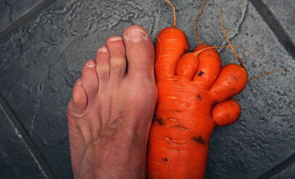 Gartengemüse - Karotte ist wie Fuß geformt