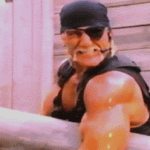 Hulk Hogan Bier Fernsehen, Lustiges, Prominente
