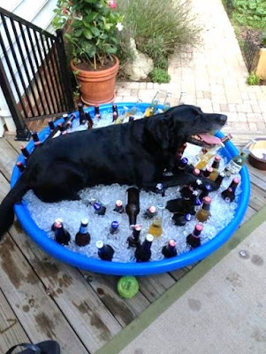Kaltes Bier im Sommer - Pool, Eiswürfel, Bier schwarzer Hund
