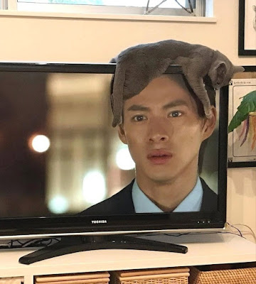 Katze auf Kopf - TV 