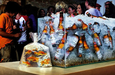 Lustige Bier Bilder - kalt stellen Lustige Bier Bilder - kalt stellen