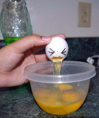 Lustige Bilder kochen mit Eiern