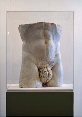 Lustige Bilder Männergehirn zum lachen Lustige Bilder Männergehirn zum lachen