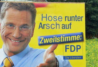 Wahlen in Deutschland FDP Wahlversprechen