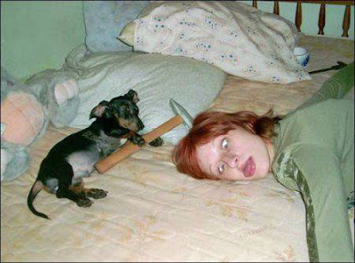 Lustige Bilder schlafende Menschen mit Hund Lach dich schlapp: Lustige Bilder für den Spaßfaktor Lustige Bilder schlafende Menschen mit Hund