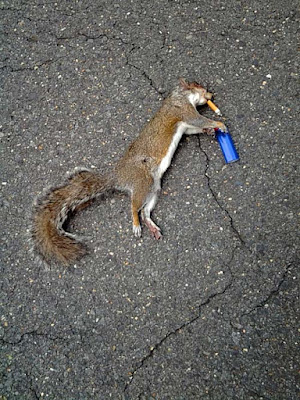tote Tiere - Bilder vom Rauchen