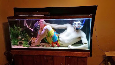 Mann beim tauchen im Aquarium