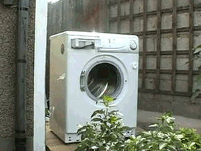 Lustiger Test Stein in Waschmaschine packen