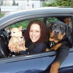 Witzige Tierbilder - Hund und Frauchen im Auto