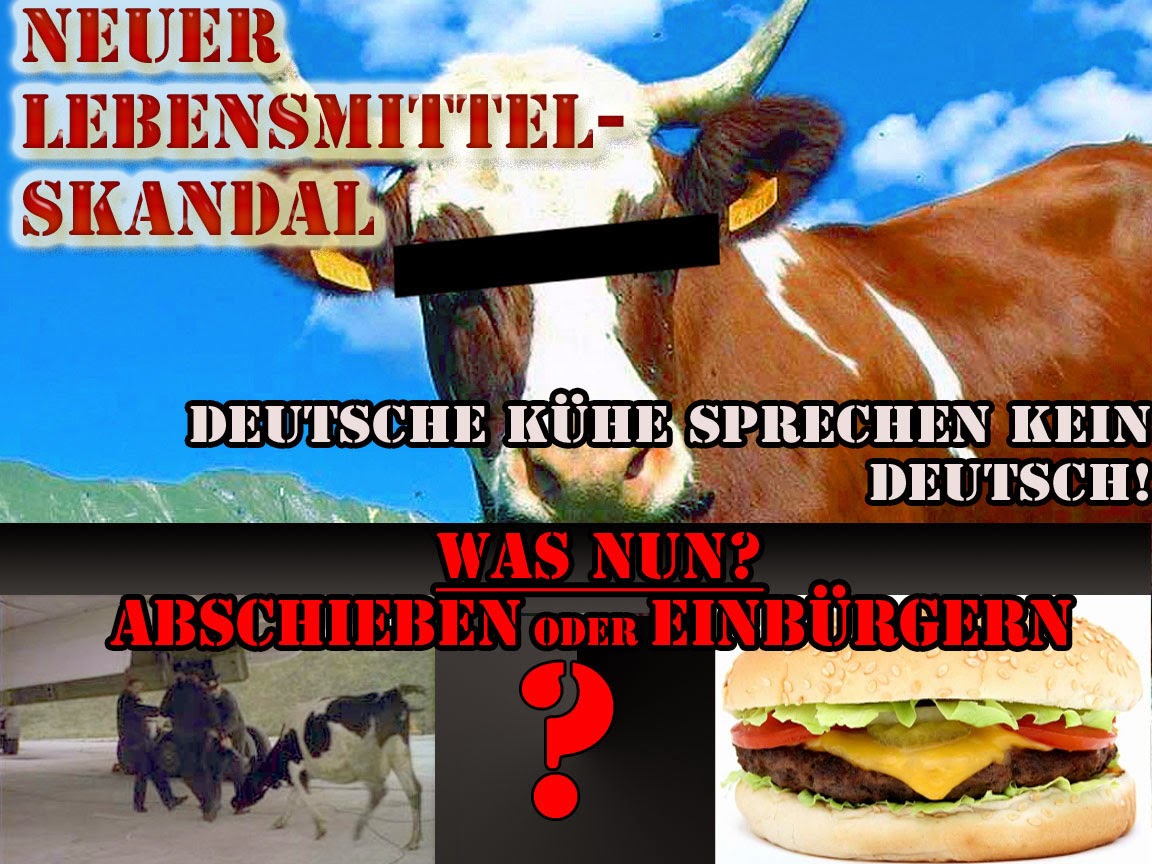 Lebensmittelskandal deutsche Kühe - Bilder mit Text