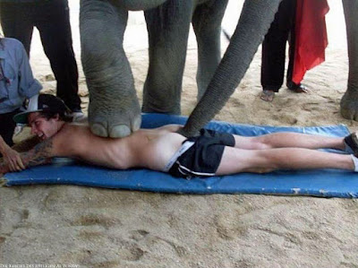 Peinliche Urlaubsfotos Elefant fummelt am Hintern 