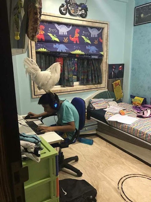 Lustiges Kind zockt im Kinderzimmer mit Huhn auf Kopf