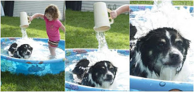 Kind wäscht Hund im Pool
