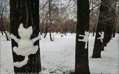 Winter Bild - Schnee Katzen an Baum