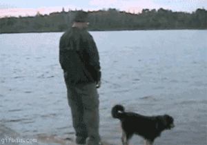Mann mit Hund beim Angeln - ins Wasser fallen