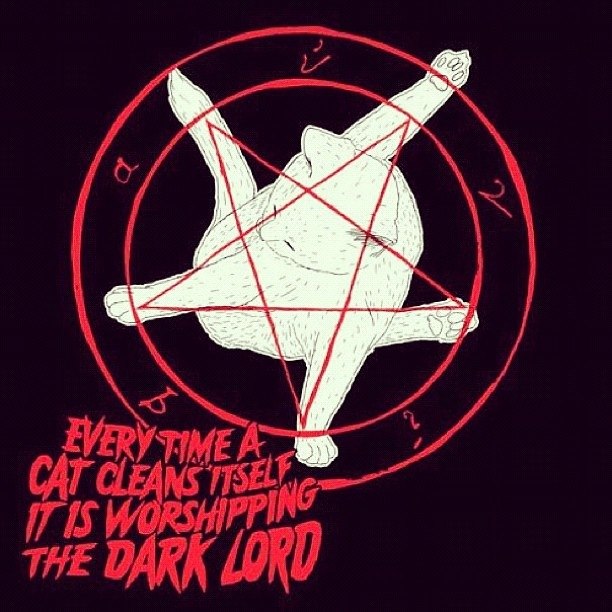 Satanische Zeichen - Katze beim putzen 
