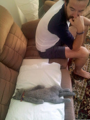 kleine graue Katze schläft auf dem Sofa auf dem Rücken neben Herrchen - Mann mit Katze Faulheit 